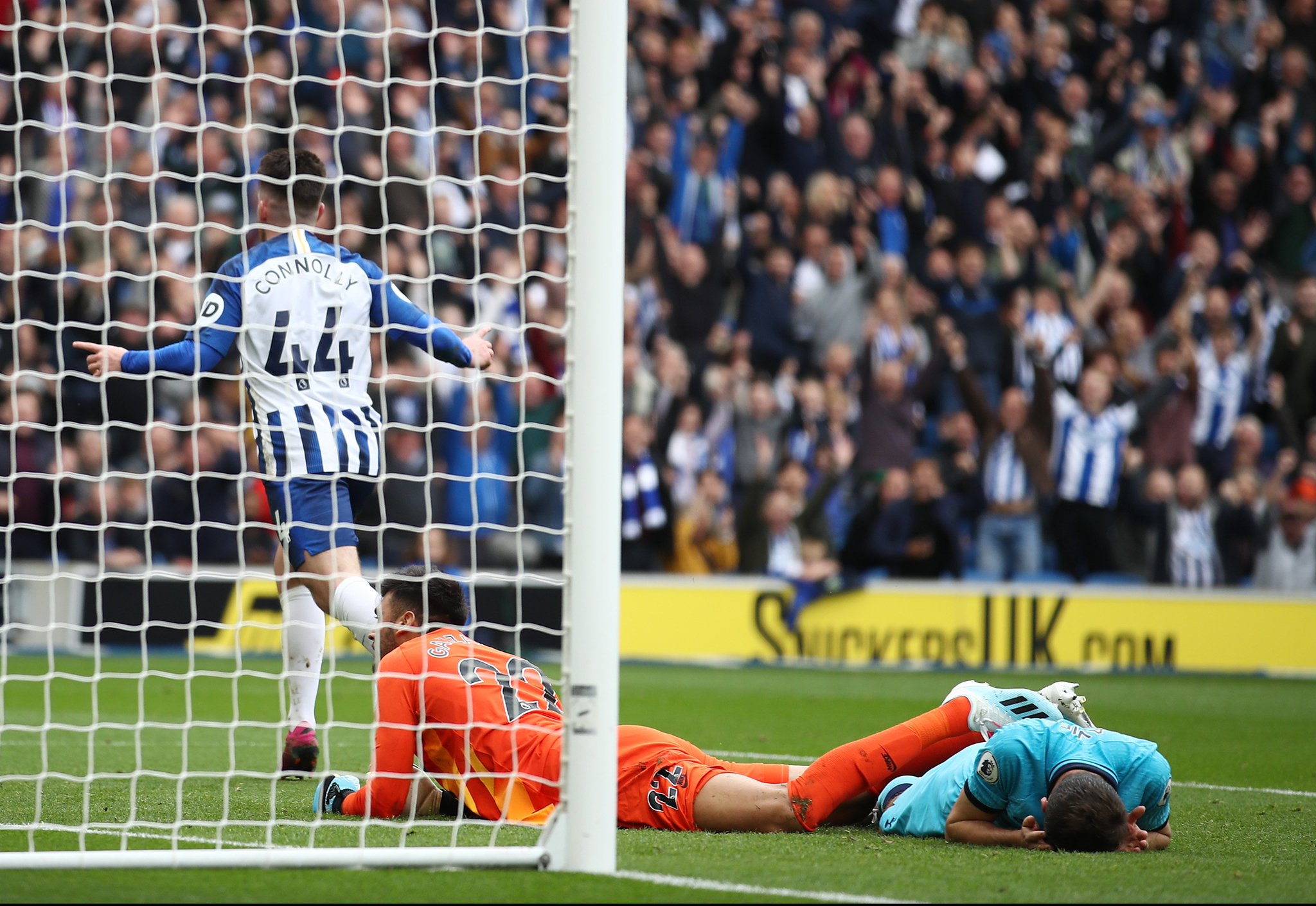 典的白色主 典的白色主